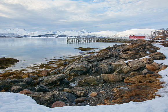 Telegrafbukta Beach