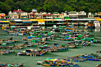 Sok Kwu Wan fisheries