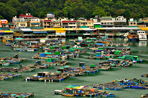 Sok Kwu Wan fisheries