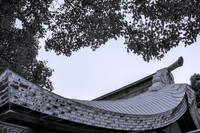 Sweeping Roof