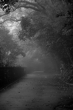 An eerie fog settles on Victoria Peak