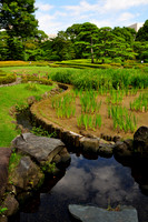 Winding Water