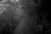 An eerie fog settles on Victoria Peak