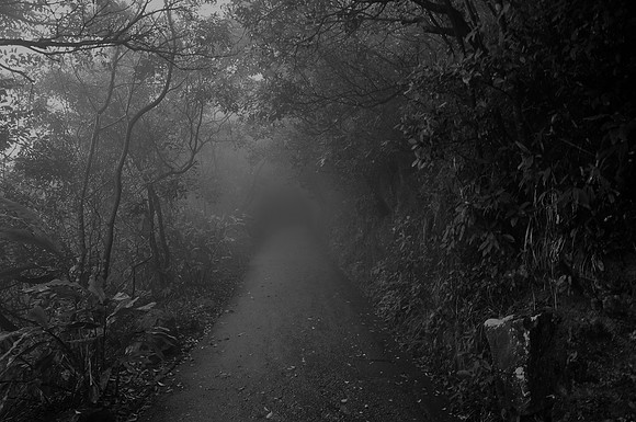 An eerie fog settles on Victoria Peak